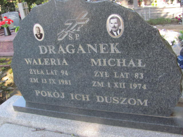 Michał Draganek 1891 Góra Puławska - Grobonet - Wyszukiwarka osób pochowanych