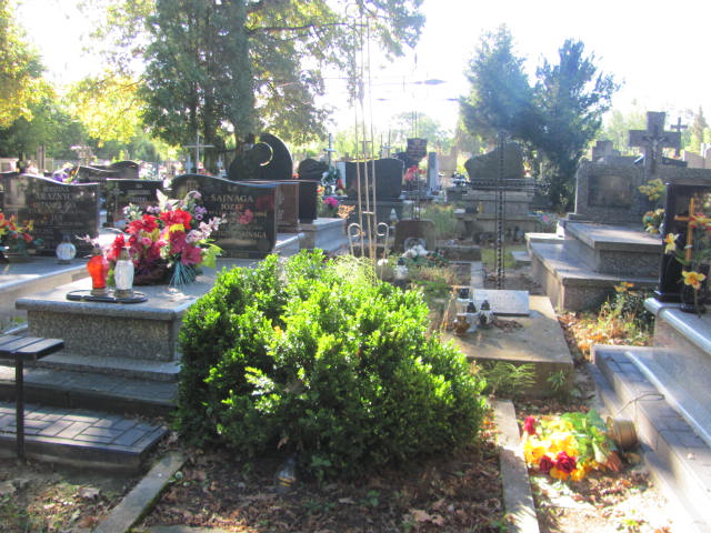  X Góra Puławska - Grobonet - Wyszukiwarka osób pochowanych