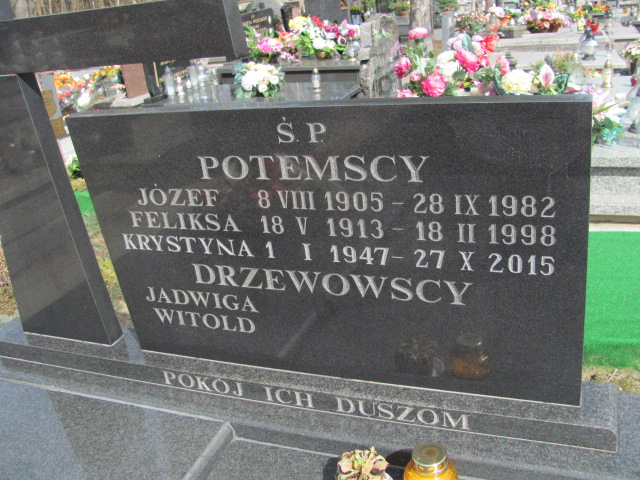  Potemski 1905 Góra Puławska - Grobonet - Wyszukiwarka osób pochowanych