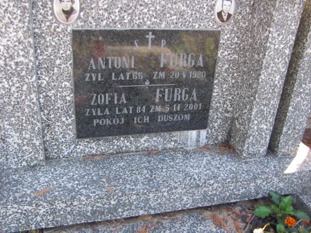 Maksymilian Jerzy Dąbek 1933 Góra Puławska - Grobonet - Wyszukiwarka osób pochowanych