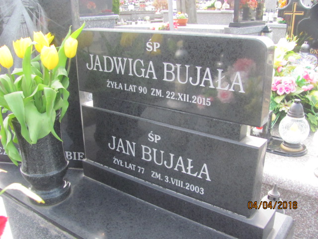 Jan Baćkowski 1890 Góra Puławska - Grobonet - Wyszukiwarka osób pochowanych