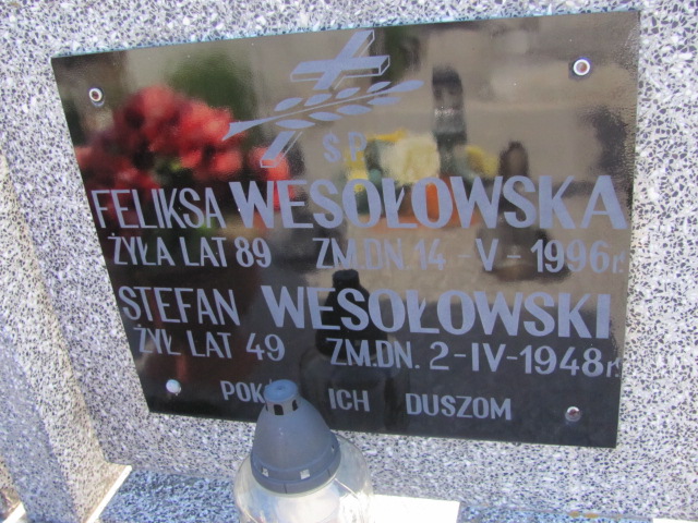 Stefan Wesołowski Góra Puławska - Grobonet - Wyszukiwarka osób pochowanych