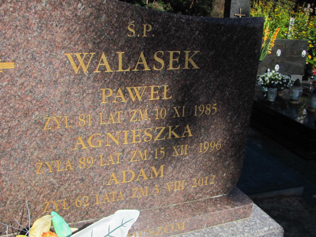 Agnieszka Walasek 1907 Góra Puławska - Grobonet - Wyszukiwarka osób pochowanych