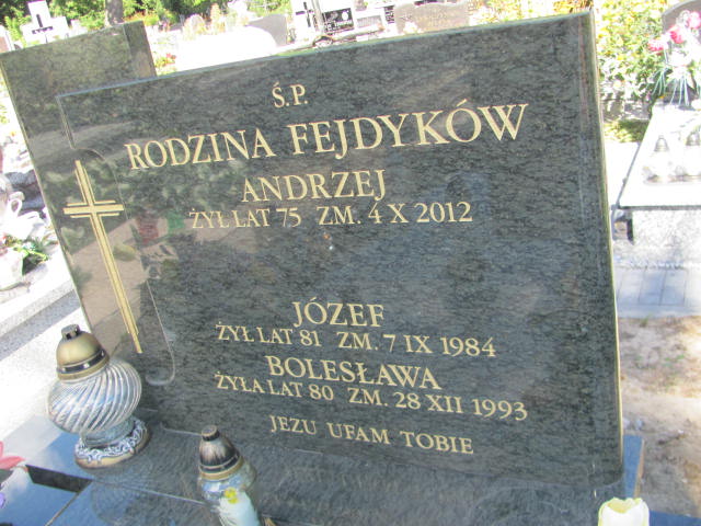 Bolesława Fejdyk 1913 Góra Puławska - Grobonet - Wyszukiwarka osób pochowanych