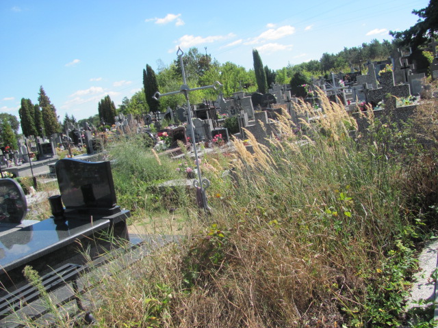  X Góra Puławska - Grobonet - Wyszukiwarka osób pochowanych