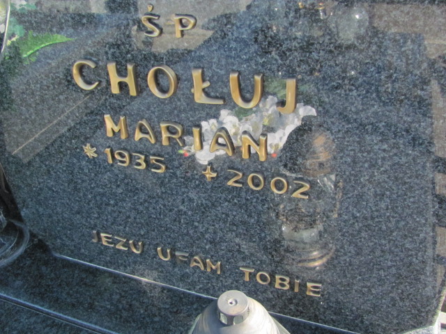 Helena Wolska 1910 Góra Puławska - Grobonet - Wyszukiwarka osób pochowanych