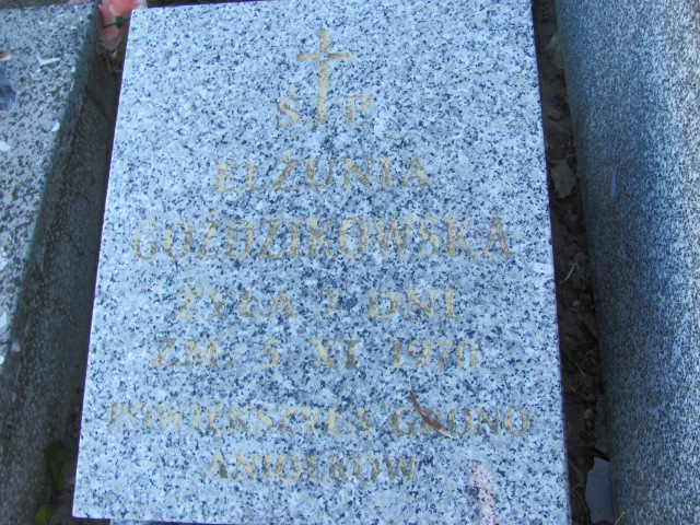 Elżbieta Mizak 1953 Góra Puławska - Grobonet - Wyszukiwarka osób pochowanych