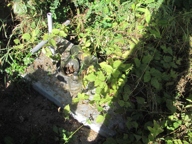 N. N. Góra Puławska - Grobonet - Wyszukiwarka osób pochowanych